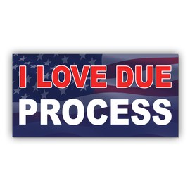 Magnet Sticker I Love Due Process Magnetic No Kings FDT Resist Anti Funny Liberal Feminist Social Justice Feminist Human Rights US Flag Magnet for Bumper, Refrigerator, Door, Car, Truck 7.5x3.75in