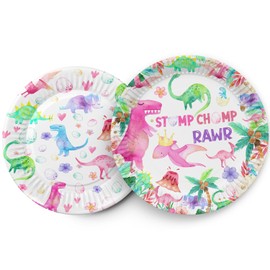 60ps Pink Dinosaur Birthday Party Paper Plates Jungle T-rex Three Rex Two Rex Watercolor Dino Disposable Plates for Girls Kids Dino 1st 2nd 3rd 10th Bday Baby Shower Party Supplies Decorations