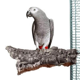 HappyBird Cork Seat Board XXL for Parrots Approx. 25 x 15 cm with Stainless Steel Screws