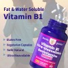 NuvitaGarden Vitamin B1 Extra Strength 500 MG High Potency Non-GMO,