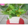 Plastic Artificial Lotus Flower with White Square Procelain Pot