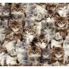 Windham One of a Kind Multi Kittens Cats Cotton Quilt