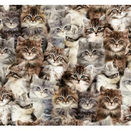 Windham One of a Kind Multi Kittens Cats Cotton Quilt Fabric by the Yard