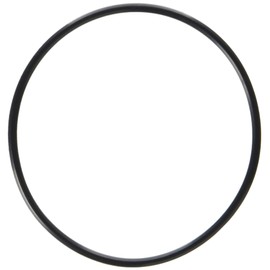 Waterway Plastics 806105129666 Serviceable Swing Check Valve Cover O-Ring