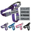 Paworld Service Dog Vest, No-Pull Service Dog Harness with 4