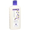 Andalou Naturals Full Volume Conditioner Lavender And Biotin 1 Each