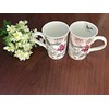 Lightahead Elegant Bone China Two Mugs set in Blue bird