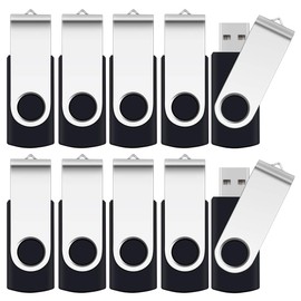 4GB Flash Drive, SRVR USB 4 GB Flash Drive 10 Pack, 4 Gig Thumb Drive with Lanyards Metal Swivel 4GB USB Memory Stick Pen Drive with LED Indicator(10 Black)