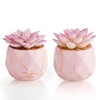 ZENIDA Artificial Succulent Plants in 2 White Ceramic Pots, Cute