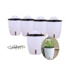 5 Pack Visible Water Level Self Watering Planter with Inner