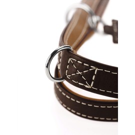 HUNTER Training Leash Tara Number 15/200 Juchten Leather, Dark Brown/Cognac