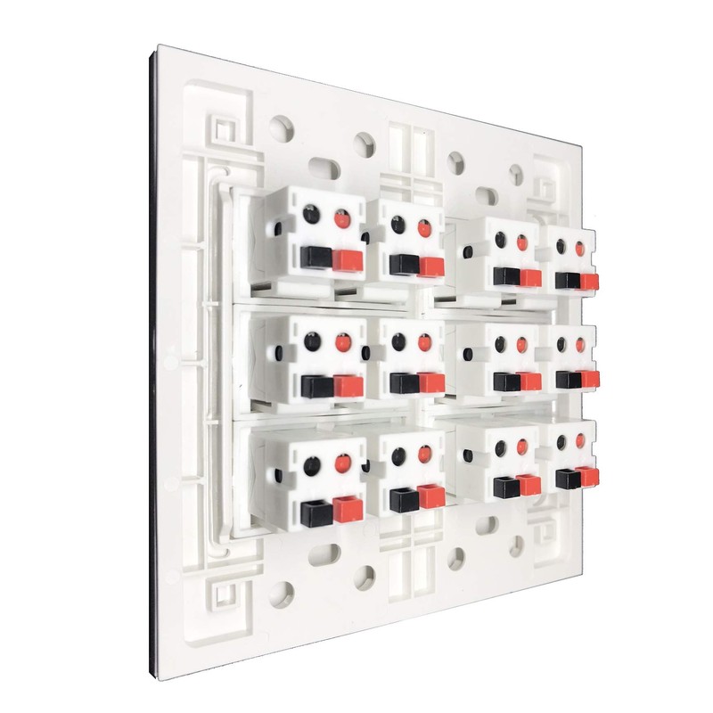 DIYTECH Premium 12 Speaker Wall Plate, Supports 12 Configurations, Screwless