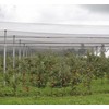 Windhager 06772 Hail Protection Net Pond Net Harvest Net Mesh