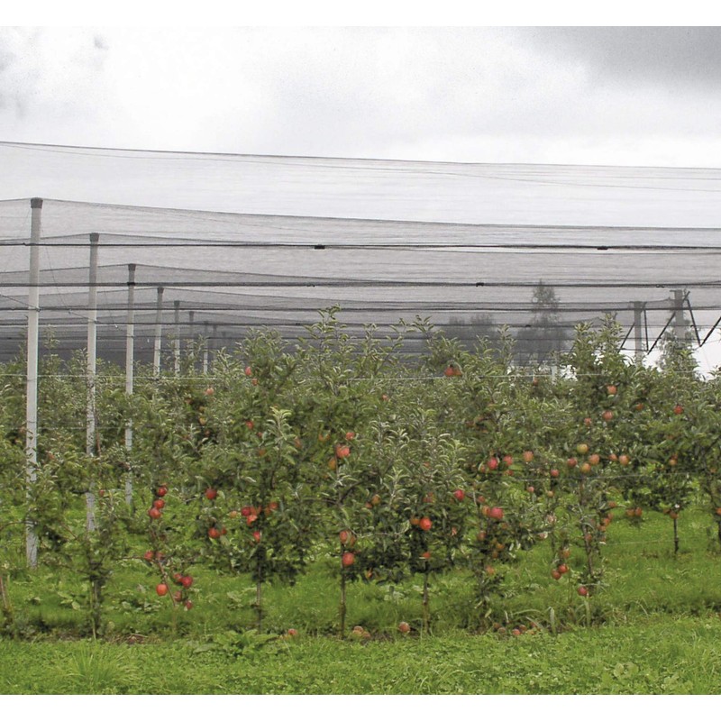 Windhager 06772 Hail Protection Net Pond Net Harvest Net Mesh