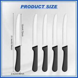 Zhehao 100 Pcs Steak Knives 8.39 Inches Rounded Serrated Steak Blade Knife Stainless Steel Round Tip Knife with Plastic Handle for Kitchen Butter Restaurant (Black)
