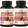 (10 Month Supply) 2 Packs Berberine Supplement 6-in-1-300 Caps - Plus Ceylon Cinnamon, Milk Thistle, Turmeric, Artichoke - Berberine HCl