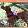 Zenify Pets Dog Harness - Chest Control Grab Adjustable Reflective