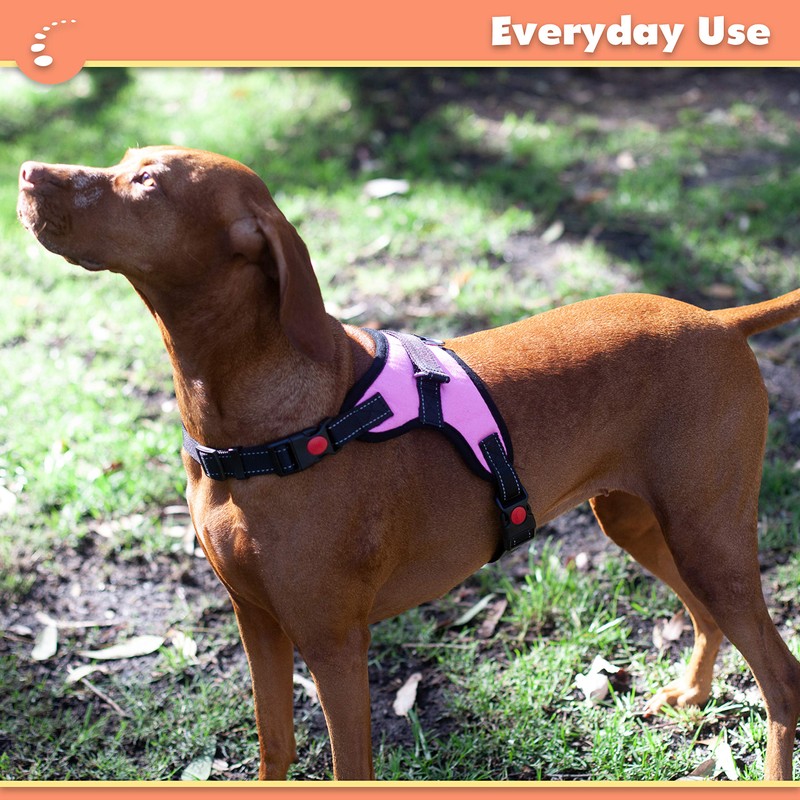 Zenify Pets Dog Harness - Chest Control Grab Adjustable Reflective