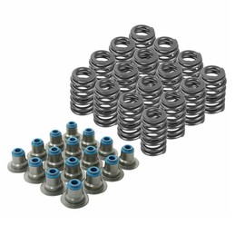 UINIEBOOM 16Pcs Valve Springs, Replacement .560" Lift Beehive Valve Springs w/Seals Compatible with Chevy Gen II III IV LS, 12482063 12499224 12586484