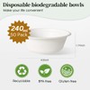 50 Pack Strong Paper Bowls – 340ml Disposable Compostable Bagasse