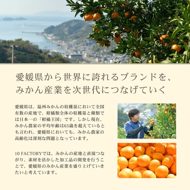 10FACTORY コラーゲンゼリー BIURA ビウラ ポンカン風味 120g 愛媛産 みかんゼリー 新田ゼラチン 国産