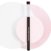 mini Kabuki Makeup Brush Set with Free Case Includes Blending,