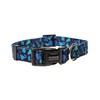 Doodlebone Dog Collar, Electric Party, 1-2