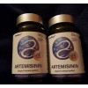 Zenlifer Artemisinin Supplement 600Mg Immune Support 2 pack 240 Capsules