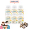 Wellfit Company Fermented oyster extract powder, lactic acid bacteria tablets