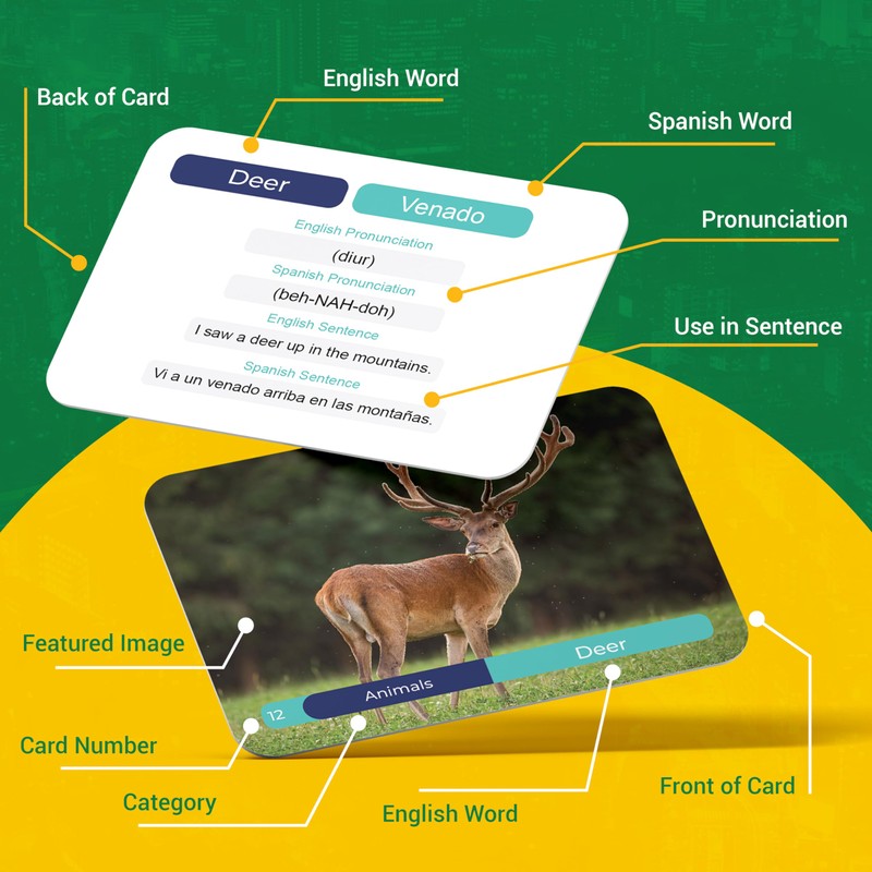Spanish Vocabulary Flash Cards for Kids and Adults – 75
