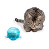 PetSafe Funkitty Fishbowl Treat Toy, Interactive Food Dispenser, Activity Snack