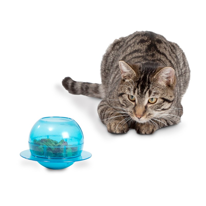 PetSafe Funkitty Fishbowl Treat Toy, Interactive Food Dispenser, Activity Snack