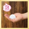 Allergena Foaming Body Soap with Antihistamine Ingredients, 2 Refills +