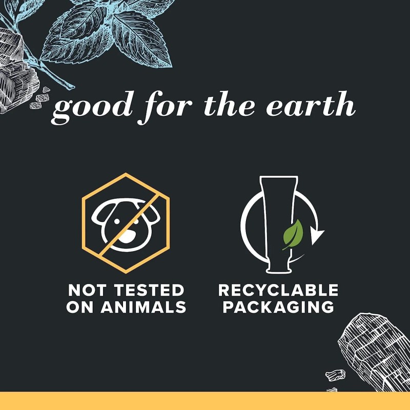 Burt's Bees Burt’s Bees Charcoal + Whitening Toothpaste Fluoride Mountain