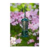 Brome Squirrel Buster Standard Squirrel-Proof Bird Feeder with 4 Metal