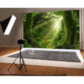 Laeacco Tropical Jungle Photography Background 10x6.5ft Wet Fog Forest Trees Hole with Sunlight Rainy Moss Path Green Trees Old Tree Landscape Photo Backdrops Studio Photographic Props