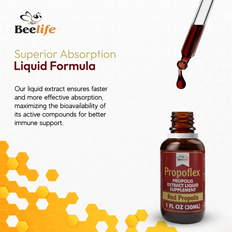 Red Bee Propolis Extract,100% Pure Extract Bee Propolis Tincture, High