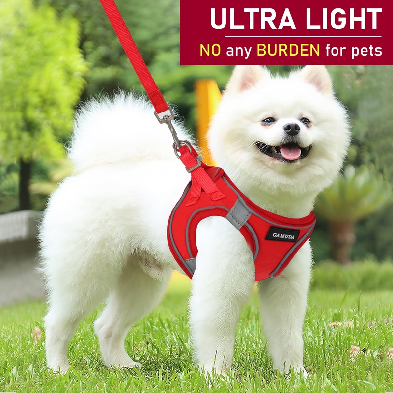 GAMUDA Small Pet Harness Collar and Leash Set, Step in