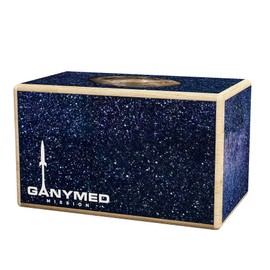 Logica Puzzles Art. Ganymede - Wooden Puzzle - Secret Box 4 Steps - Difficulty 2/6 Medium - Star Adventures Series