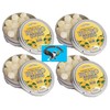Retro Sours Hard Tangy Candy 4ct Citrus Flavored Tins 8.48oz