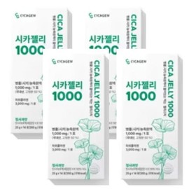 [Danbi] Sikazen Sikejili 1000 Green Apple Flavor 25g 14 packets x 4 packs / [단비] 시카젠 시케질리 1000 청사과맛 25g 14포 x 4개