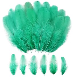 Grass Green Craft Rooster Feathers 900pcs 3-5inch Colored Bulk Feathers Natural Feathers for Crafting Kindergarten DIY Crafts,Home Wedding Party Decoration,Dream Catcher Supplies