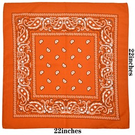 Tergy 30PCS Bandanas Unisex Paisley Bandanas Bulk Multi-Purpose Headband Cowboy Head Wrap Scarf for Women Men Boys Girls (Orange)