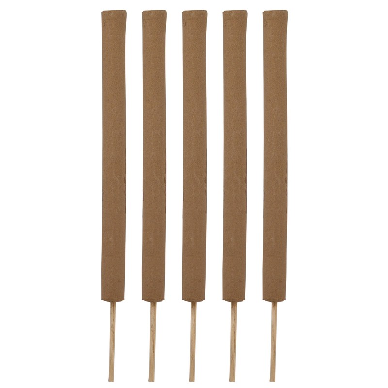 PIC CIT STK Citronella Sticks, green