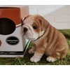Pet Pals Bulldog Puppy Ornament