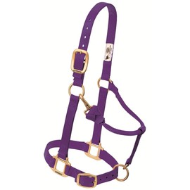 Weaver Leather Original Adjustable Nylon Horse Halter, Purple, Arabian/Cob