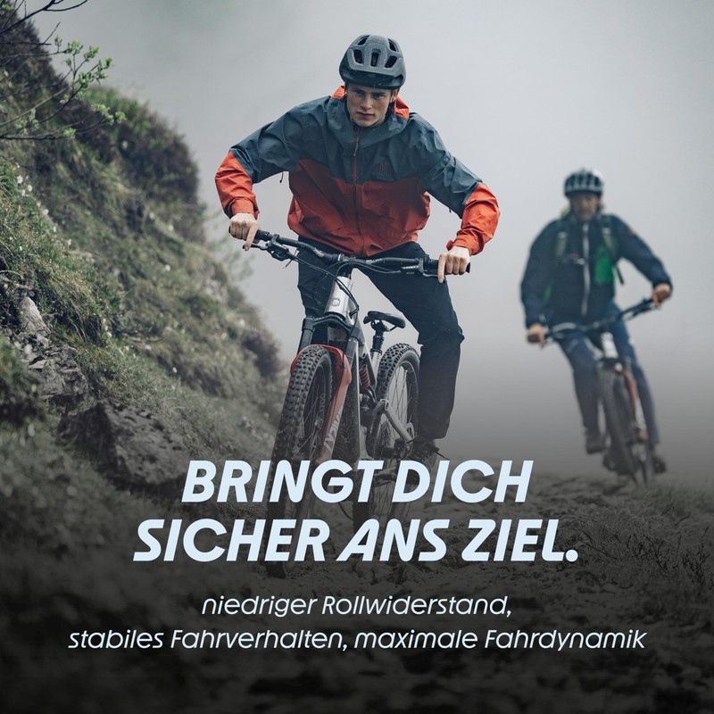 Schwalbe Aerothan Inner Tube - Bicycle Inner Tubes for Urban,