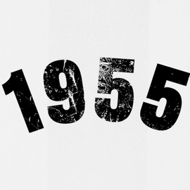 CafePress 1955 Year Vintage Insulated Wine Tumbler 12 oz