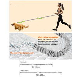 Hurluksi Hand Free Dog Waist Lead, Running Dog Belt Leash Heavy Duty Dog Walking Belt with Retractable Bungee & Sponge handle (Green)