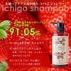 Strawberry Shampoo Treatment, Pouch Set, Salon Quality, Amino Acids, Gentle